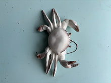 Antique White Sea Creature Ornaments