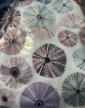 Sea Urchin Dreams Boardwalk Skirt - Mermaids on Cape Cod-Official Mermaid Gear