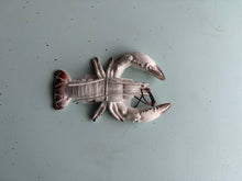 Antique White Sea Creature Ornaments