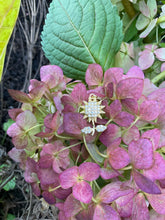 Seaside Mermaid Charms