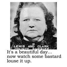 Snarky Big House Air Fresheners-SET OF TWO (TEAM MERMAID CHOICE)