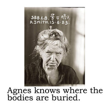 Snarky Big House Air Fresheners-SET OF TWO (TEAM MERMAID CHOICE)