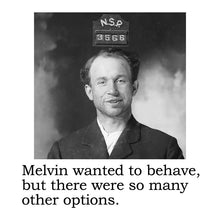 Snarky Big House Air Fresheners-SET OF TWO (TEAM MERMAID CHOICE)