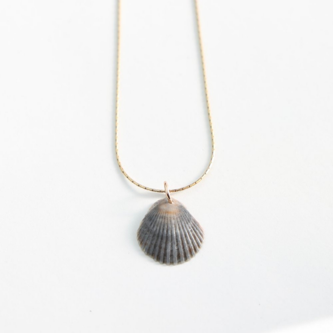 Scallop Gold Filled Necklace