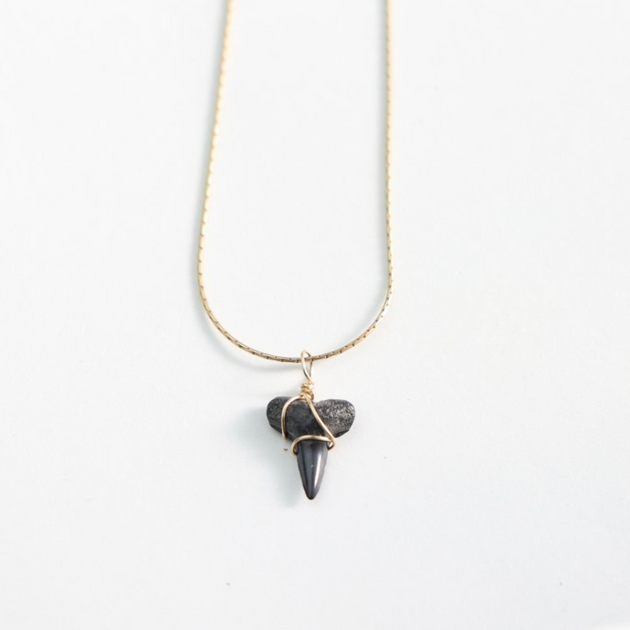 Shark's Tooth Gold Filled Necklace